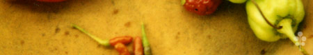 seasoningpeppers_th.jpg