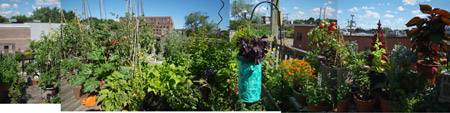 1roofgarden_panoramic_jul07.jpg