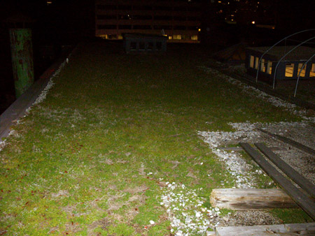 410 Richmond Green Roof