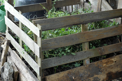 Compost Bin