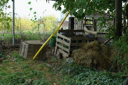 Compost Bin