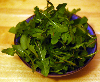 Dandelion Greens