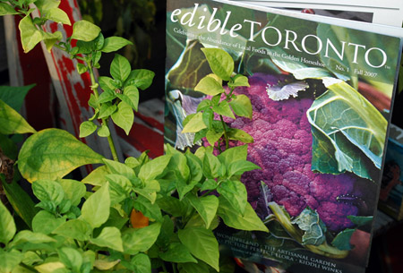 Edible Toronto Magazine