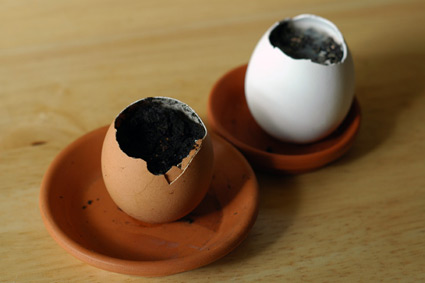 eggling7.jpg
