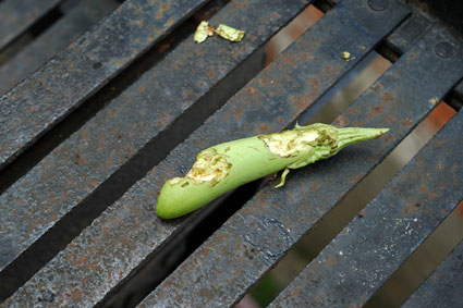 Eggplant Carnage