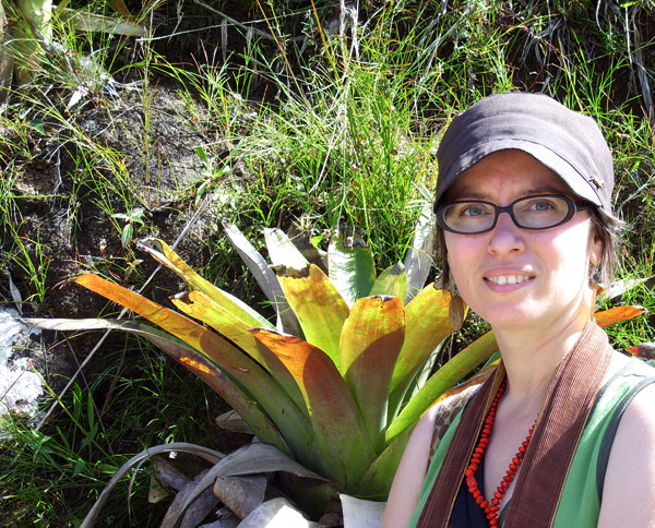 gayla_bromeliad.jpg