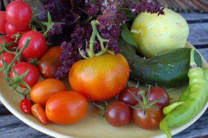 Roof Garden Harvest: August 13