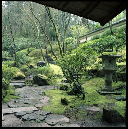 japanesegarden4.jpg