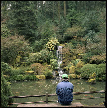 japanesegarden8.jpg