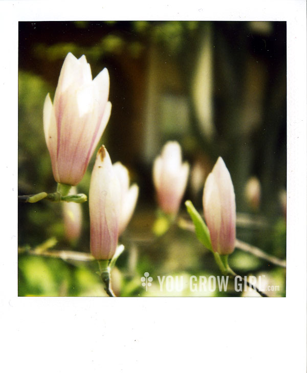 Photo by Gayla Trail All Rights Reserved