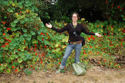 Monster Nasturtiums