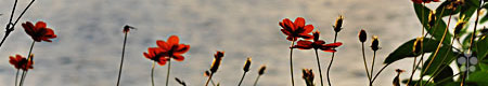 Photo by Gayla Trail  All Rights Reserved