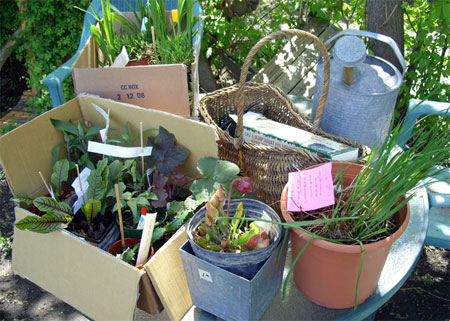 parkdalehortsale_2008.jpg