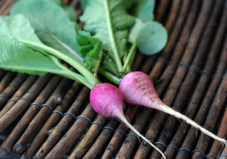 Radishes