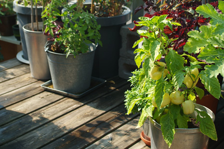 rooftop_foodcontainers.jpg