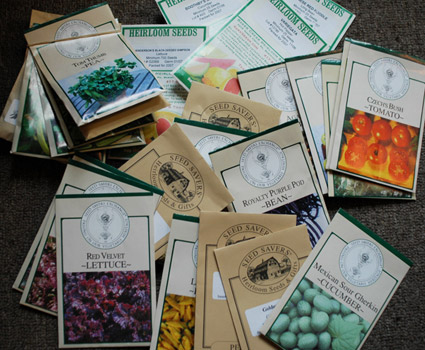 seeds_april11.jpg