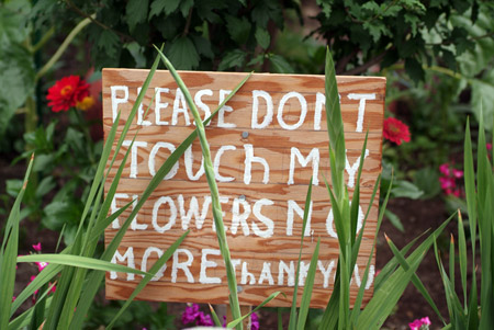 sign_touchplants.jpg