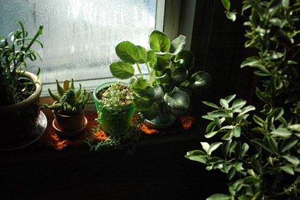 Crocheted Windowsill Cozy