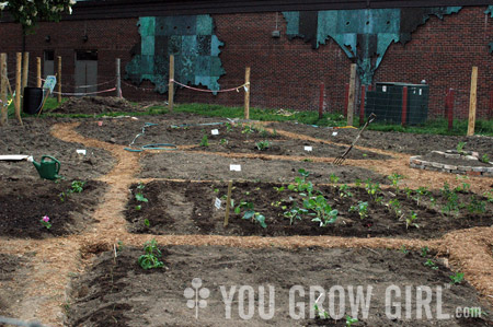 Community Garden by Gayla Trail: All Rights Reserved