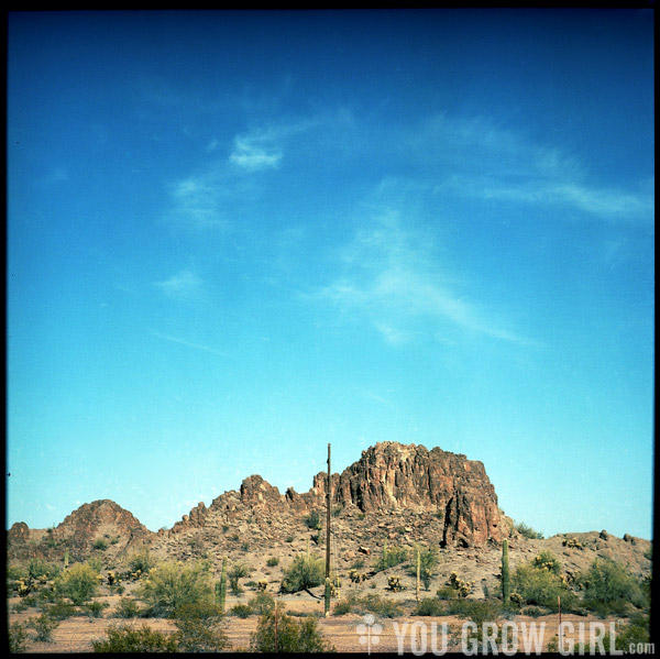 Ajo, Arizona