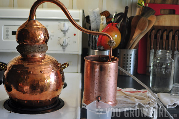 Making Plant Hydrosol with an Alembic Copper Still