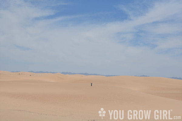 algodones dunes