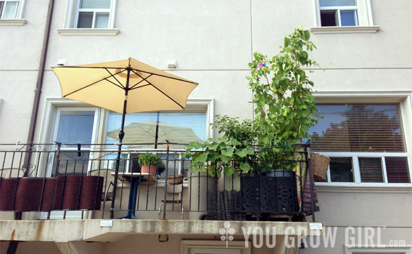 Urban Garden Balcony Garden