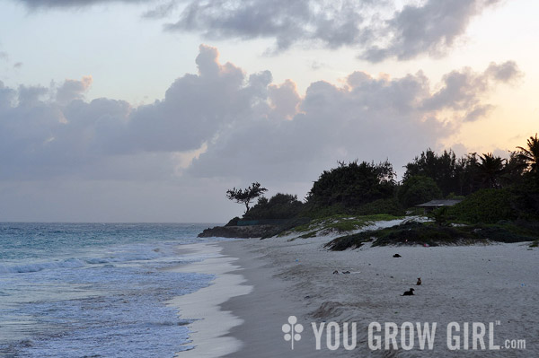 Barbados Beach