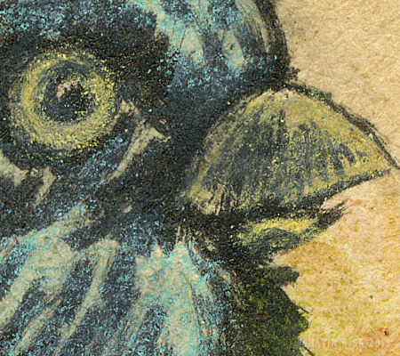 Blackbird (detail)