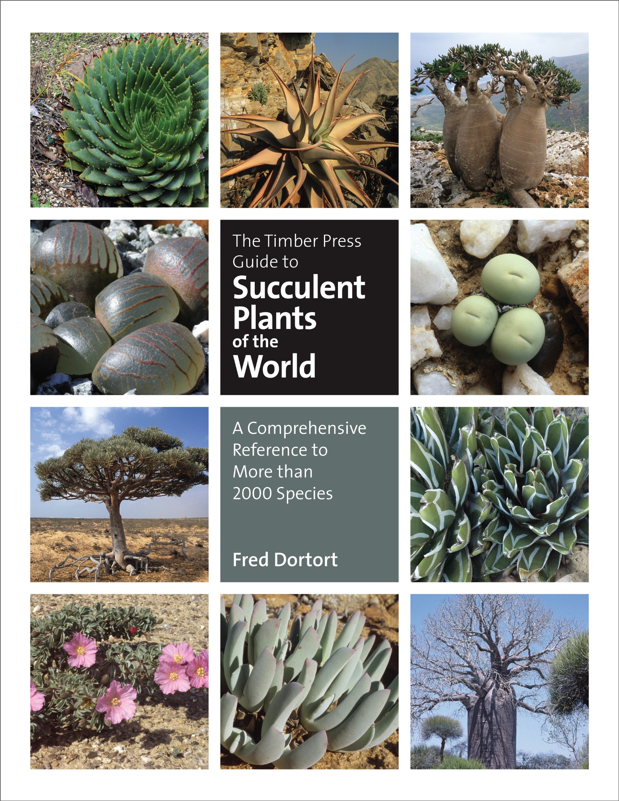 book_succulentsworld