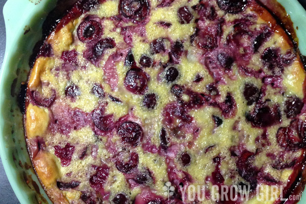 clafoutis