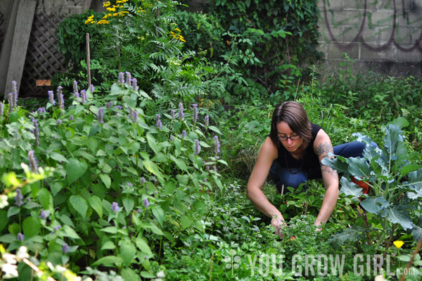 Gayla Trail Community Garden