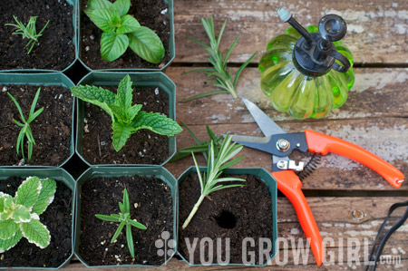 cuttings soil by Gayla Trail: All Rights Reserved