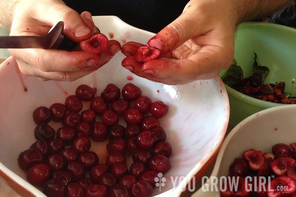 Davin pitting foraged cherries