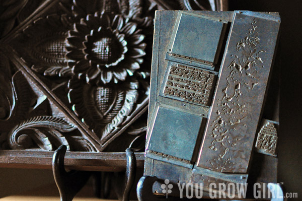 Dominion Seed Vintage Print Block