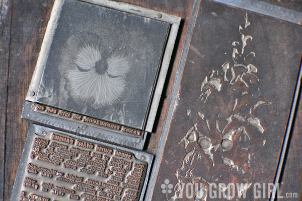 Dominion Seed Vintage Print Block