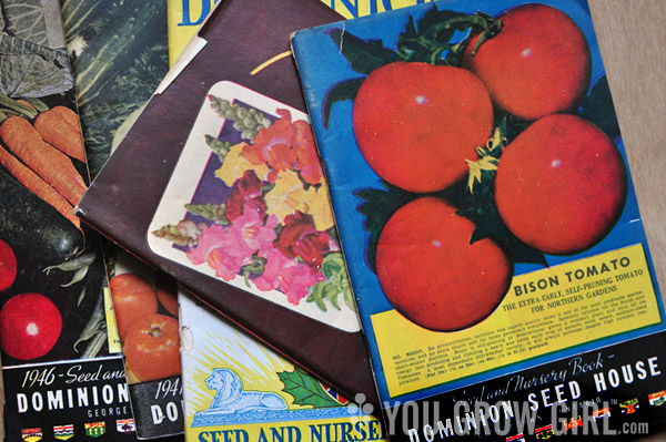 Dominion Seed Vintage Seed Catalogue