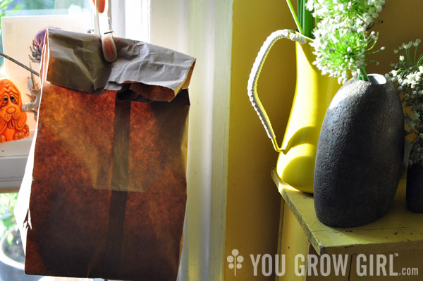 thyme drying in a paper bag