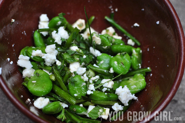 Pan Fried Garlic Scapes with Fava Beans