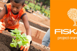 Fiskars Project Orange Thumb Community Garden Grants
