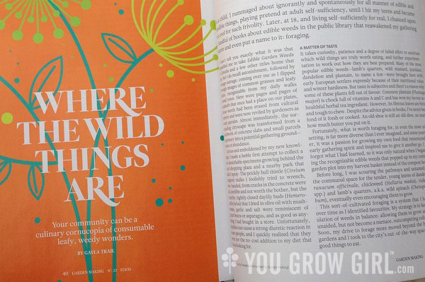 Foraging article by Gayla Trail in Garden Making magazine