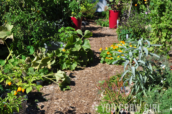 garden_sept28_13