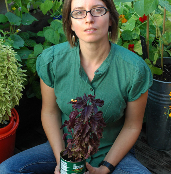 Gayla Trail rooftop garden