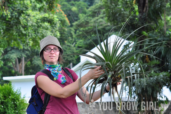 Gayla with Giant Tillandisa