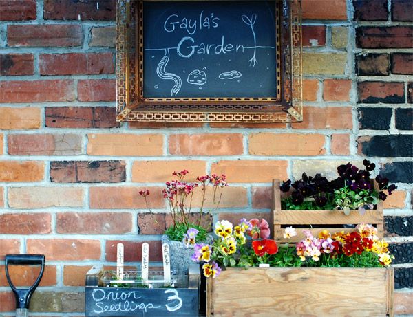 Gayla Trail Urban Rooftop Garden