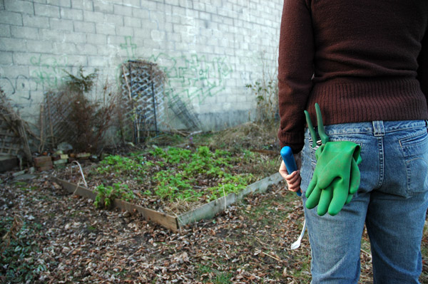 Gayla Trail Community Garden Plot