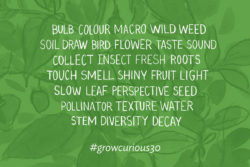 Grow Curious 30