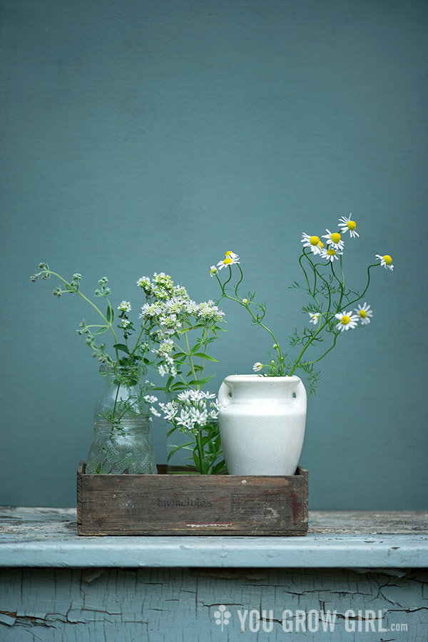 gt_edibleflowers_white