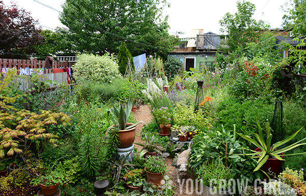 Gayla Trail Garden July 2015