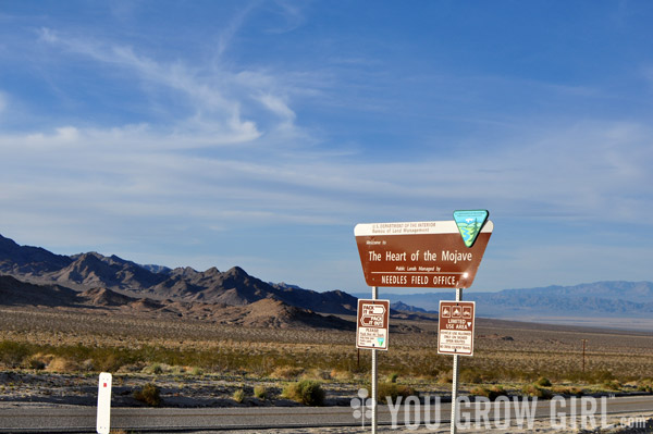 Heart of the Mojave